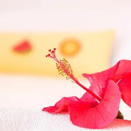 Pensionat Guestready - Windmill House