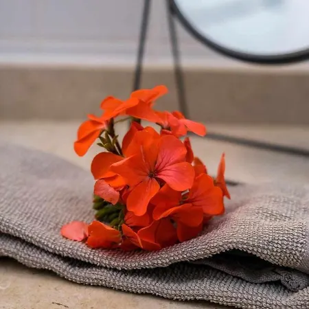 Pensionat Guestready - Windmill House Pontinhas