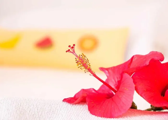 게스트하우스 Guestready - Windmill House